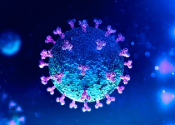 ICB-USP irá testar milhares de fármacos para tratar o novo coronavírus